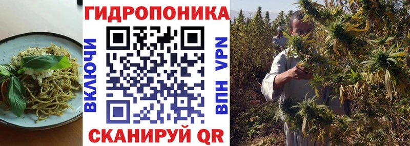Canna-Cookies конопля  Дубна 