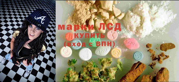спиды Верея