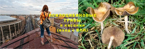 спиды Верея