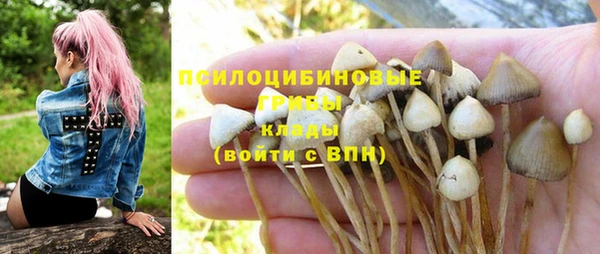 MDMA Premium VHQ Верхний Тагил
